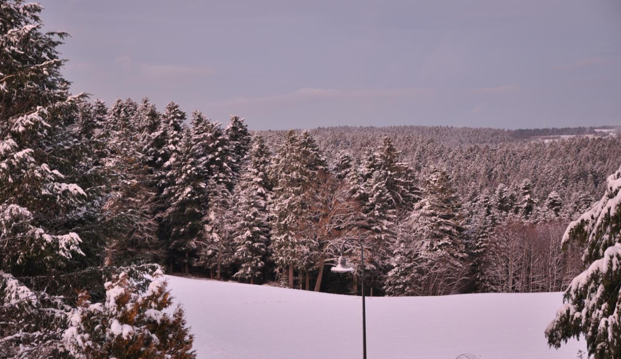 Landhotel Krone Alpirsbach Esterno foto